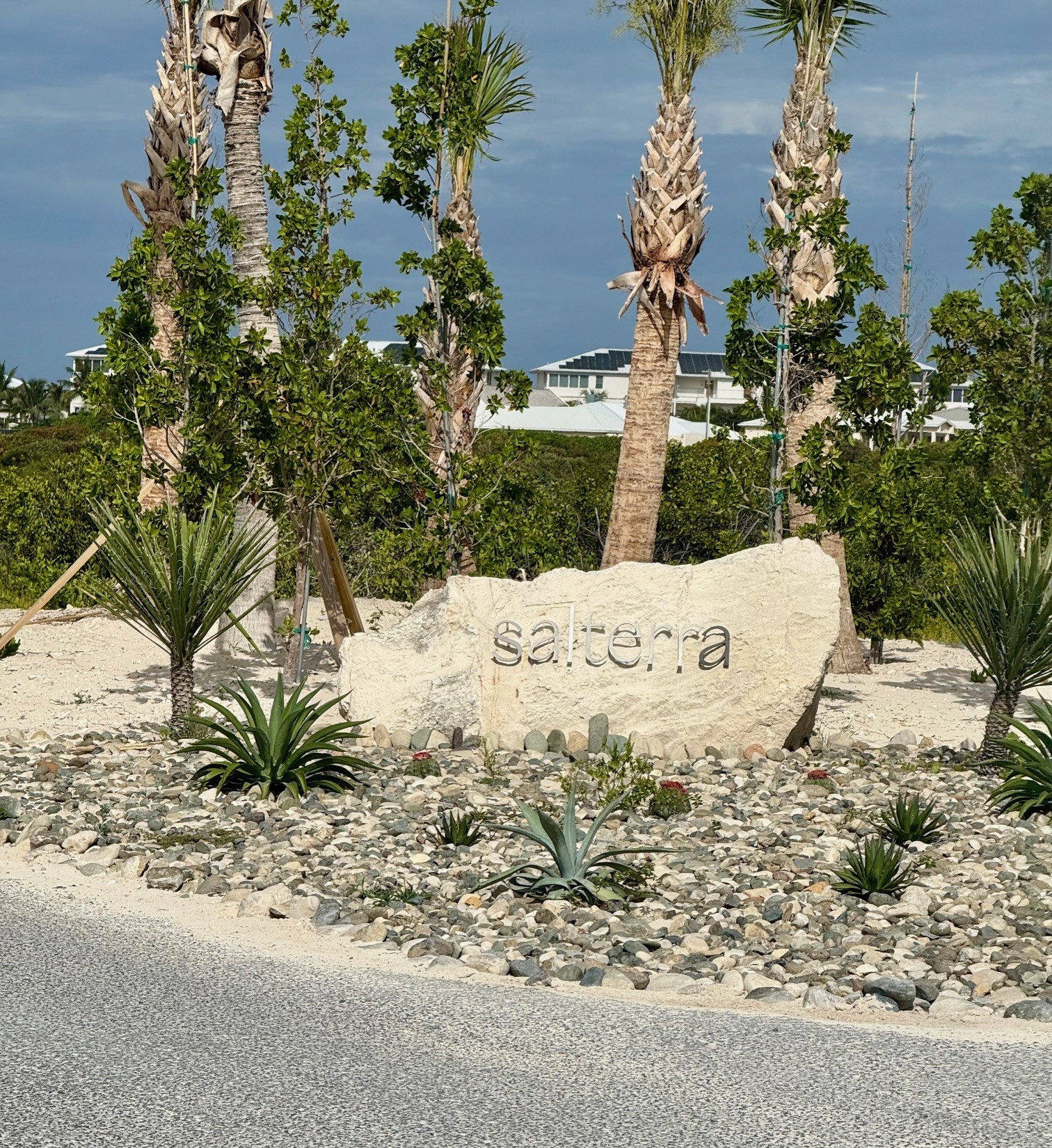 A natural stone bearing the Salterra name sits gracefully among palms and cactus—a quietly elegant welcome to South Caicos’ newest luxury retreat.